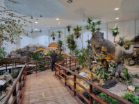 Phu Wiang Dinosaur Museum Travel Forum Reviews