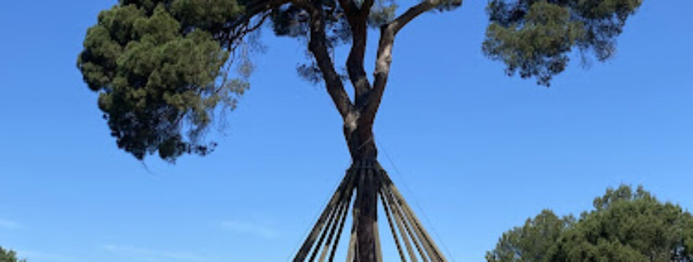 Pi d'en Xandri Travel Forum Reviews