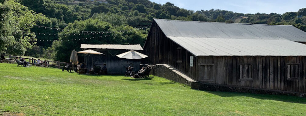 Picchetti Ranch Open Space Preserve Travel Forum Reviews