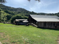 Picchetti Ranch Open Space Preserve Travel Forum Reviews