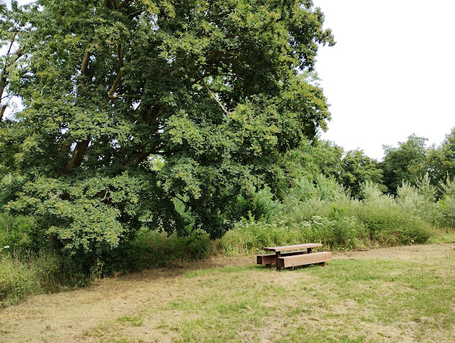 Picknick tafel