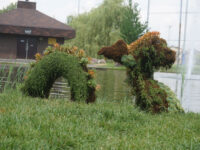 Pierre Elliott Trudeau Park Travel Forum Reviews