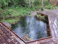 Pikkala Spring Travel Forum Reviews