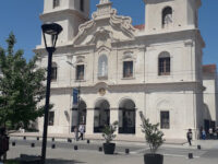 Pilar Travel Forum Reviews