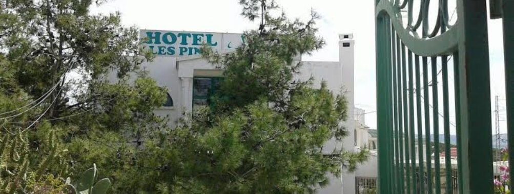Pine Inn Travel Forum Reviews