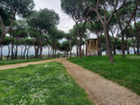 Pineta-Parco di Tor Tre Teste Travel Forum Reviews