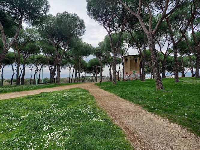 Pineta-Parco di Tor Tre Teste