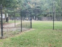 Piney Wood Pickleball Courts Travel Forum Reviews