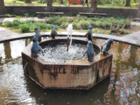 Pinguinbrunnen Travel Forum Reviews