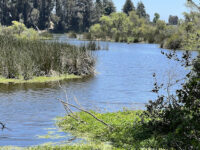 Pinto Lake County Park Travel Forum Reviews