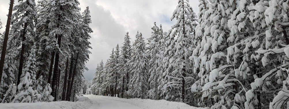 Pioneer Trail Travel Forum Reviews