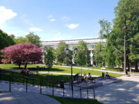 Pirogov Park Travel Forum Reviews