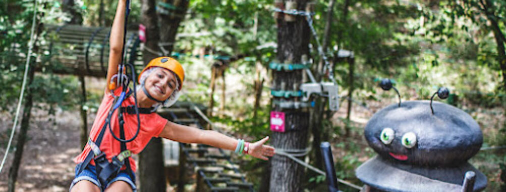 Pitchoun Forest Travel Forum Reviews