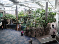 Pittsburgh Zoo & Aquarium Travel Forum Reviews