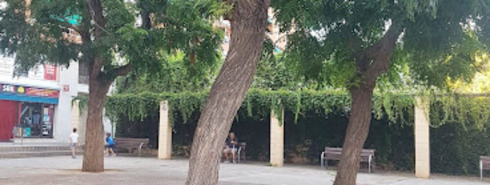Plaça dels Escacs Travel Forum Reviews