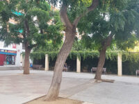Plaça dels Escacs Travel Forum Reviews