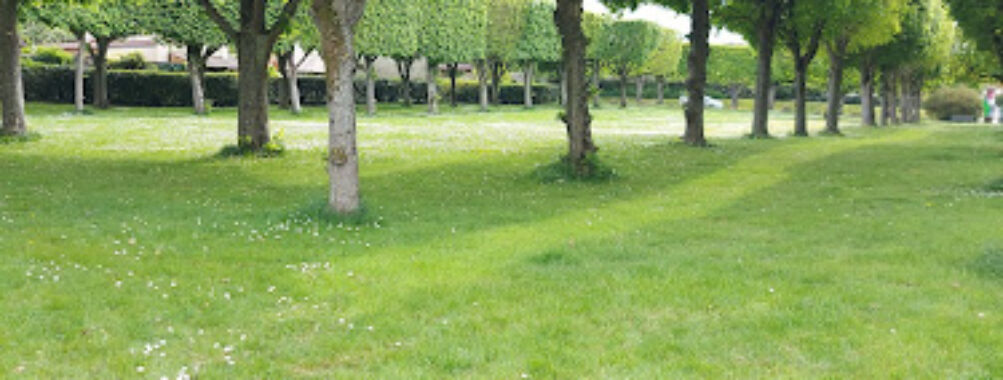 Place verte - Firmin Mercier Travel Forum Reviews