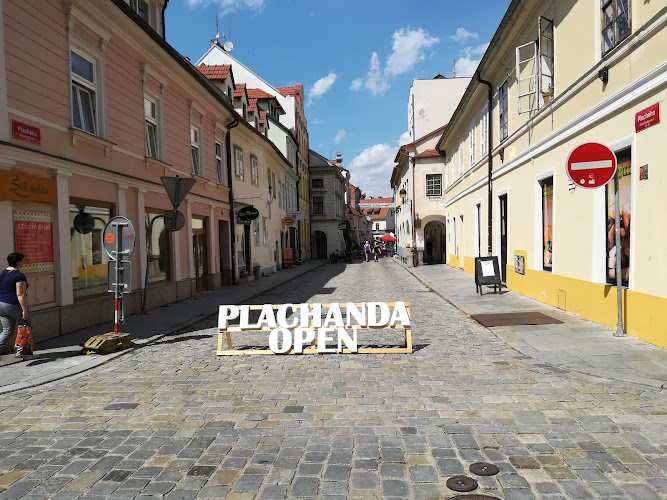 Plachého