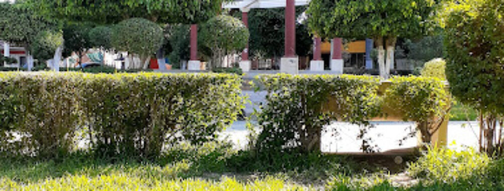 Placita De San Antonio Travel Forum Reviews