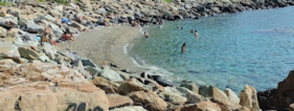 Plage de Ficaghjola Travel Forum Reviews