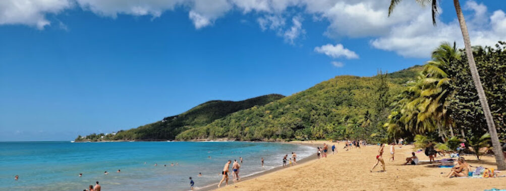 Plage de Grande Anse Travel Forum Reviews