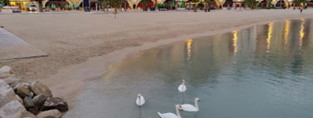 Plage des Sablettes Travel Forum Reviews