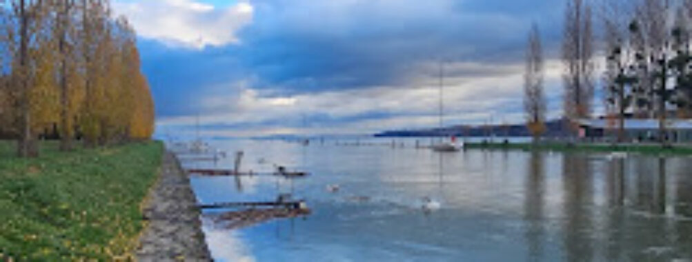 Plage des chiens Travel Forum Reviews
