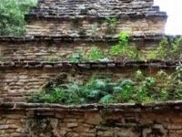 Plan de Ayutla Travel Forum Reviews