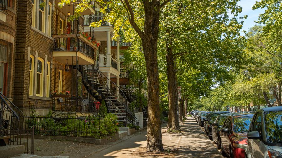 Plateau Mont Royal