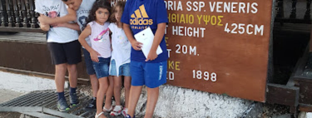 Platia Tillirias Travel Forum Reviews