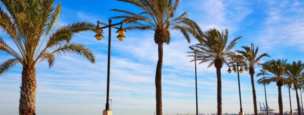 Platja de la Malva-rosa Travel Forum Reviews