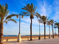 Platja de la Malva-rosa Travel Forum Reviews
