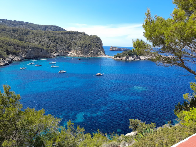 Platja des Port de Sant Miquel