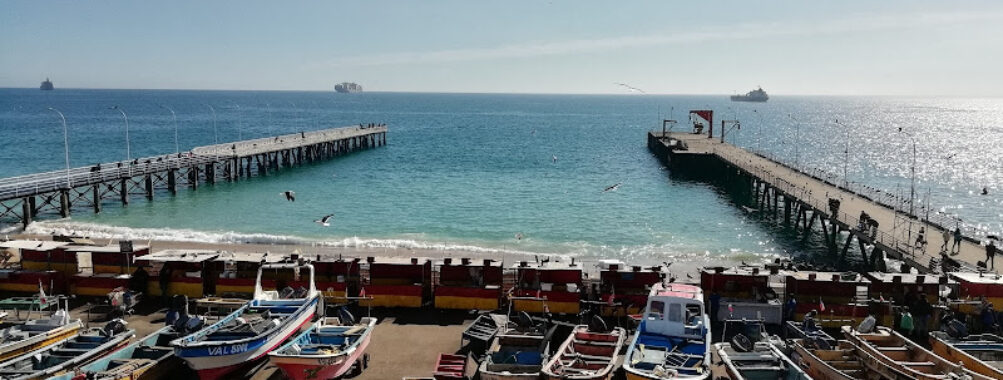 Playa Caleta Portales Travel Forum Reviews
