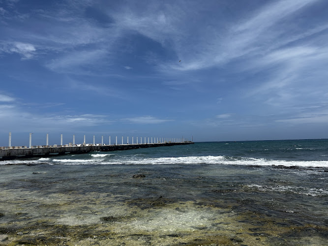 Playa Constituyentes