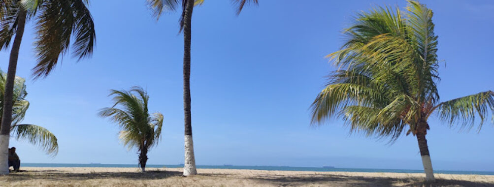 Playa Mansa Travel Forum Reviews