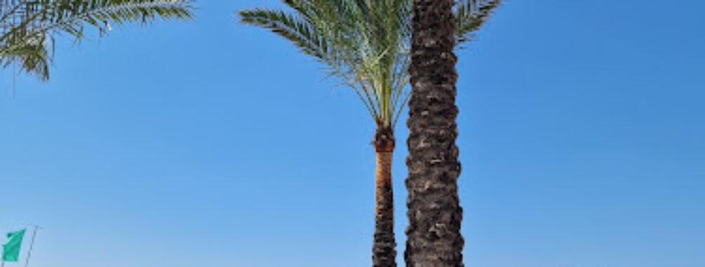 Playa de Sant Antoni Travel Forum Reviews