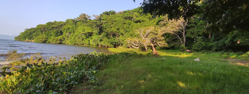 Playa la LAJA Travel Forum Reviews