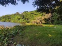 Playa la LAJA Travel Forum Reviews