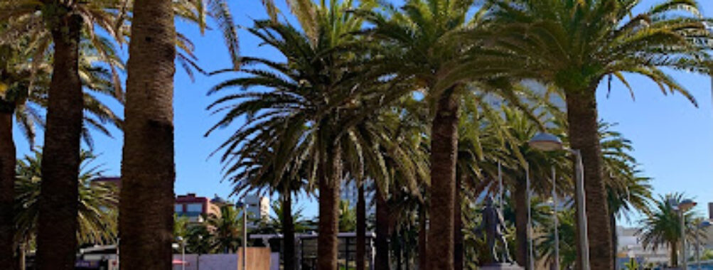 Plaza General Artigas Travel Forum Reviews