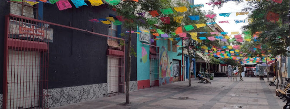 Plaza Hidalgo Travel Forum Reviews