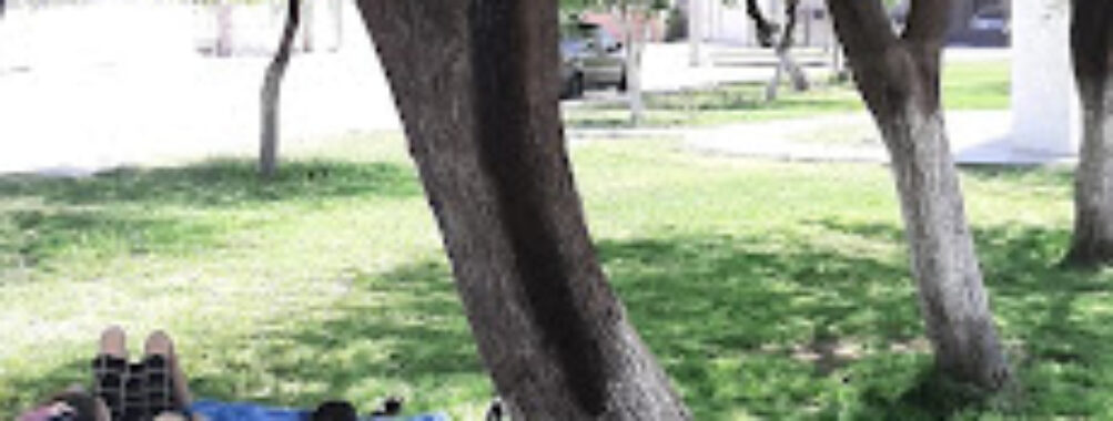 Plaza San Martin Travel Forum Reviews