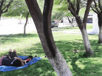 Plaza San Martin Travel Forum Reviews