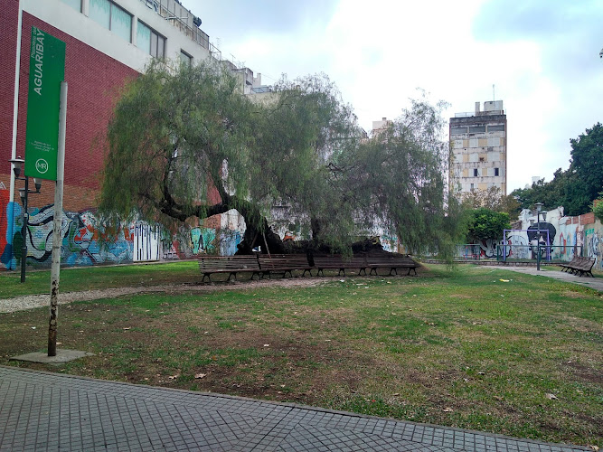 Plaza del Aguaribay