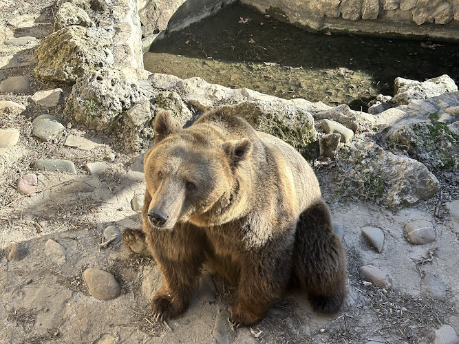 Pleven Zoo