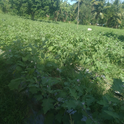 Poblacion (Alabel)