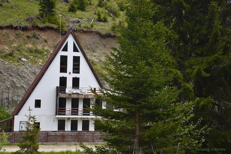 Podu' cu Florile