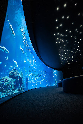 Poema del Mar Aquarium