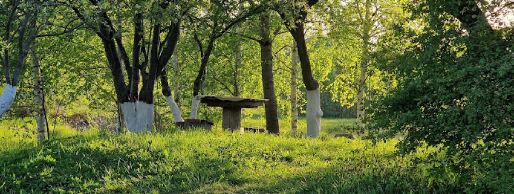 Poilsiavietė Travel Forum Reviews