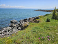 Point San Bruno Park Travel Forum Reviews